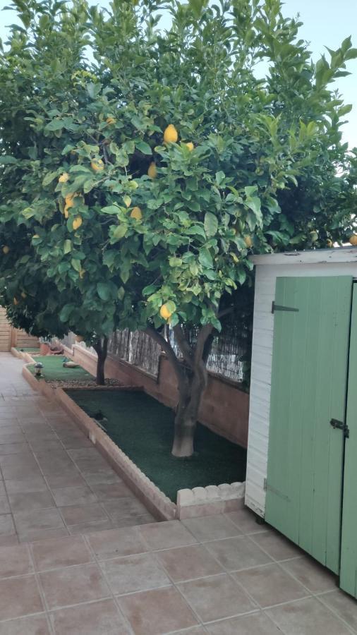 Es Cantonet Calvia  Esterno foto